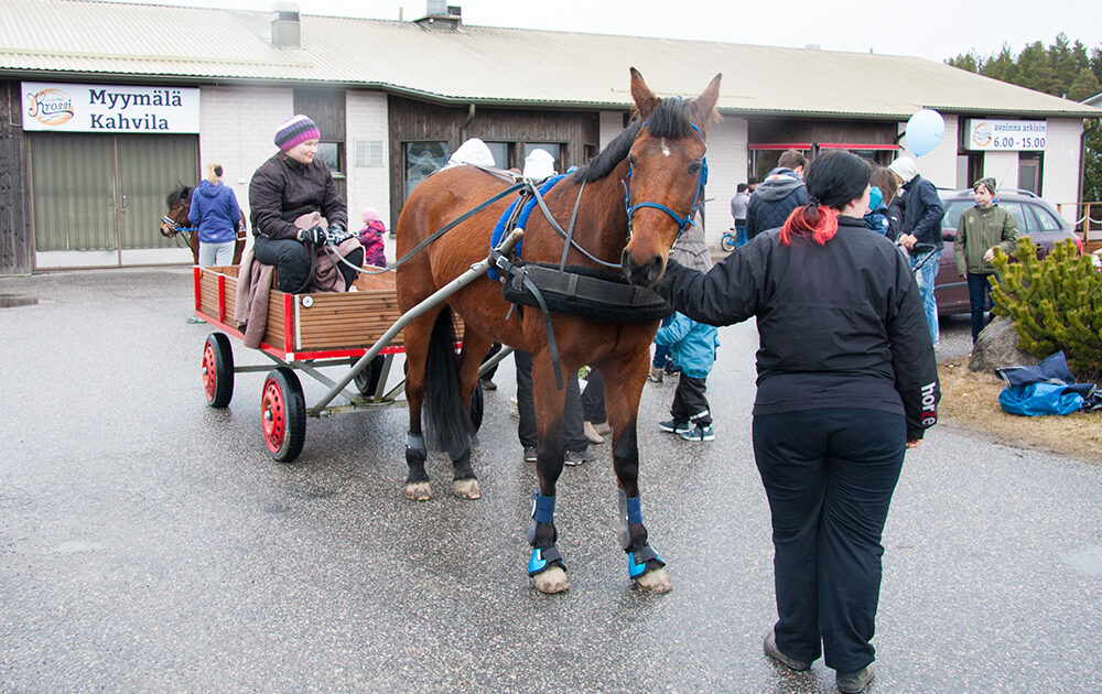 Hevoskärryajelua Hevoskärryajelua
