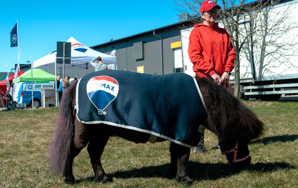 Poni evästauolla Poni evästauolla